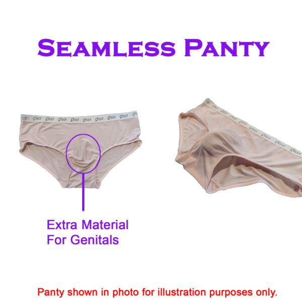 Sissy Locked Lace Panty - Image 5