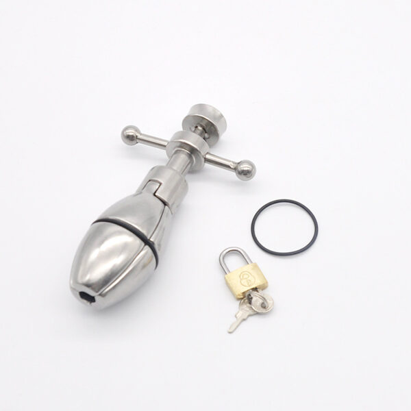 Locking Anal Plug - Image 7