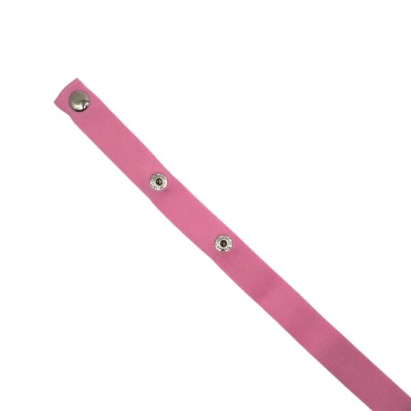 Chastity Straps - Image 3