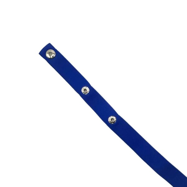 Chastity Straps - Image 5