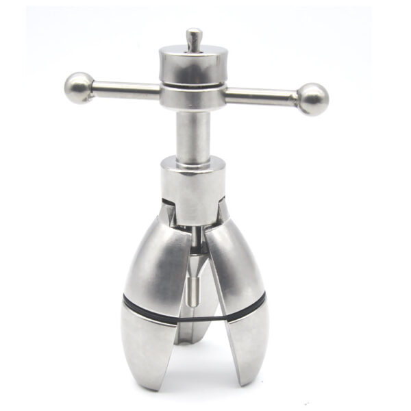 Locking Anal Plug - Image 4