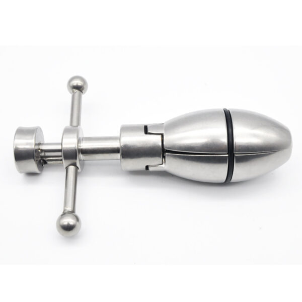 Locking Anal Plug - Image 5