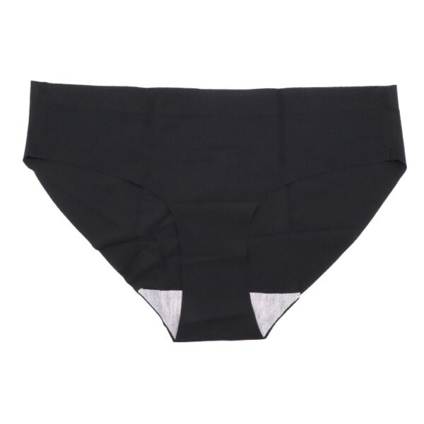 Sissy Classic Nylon Panty - Image 19