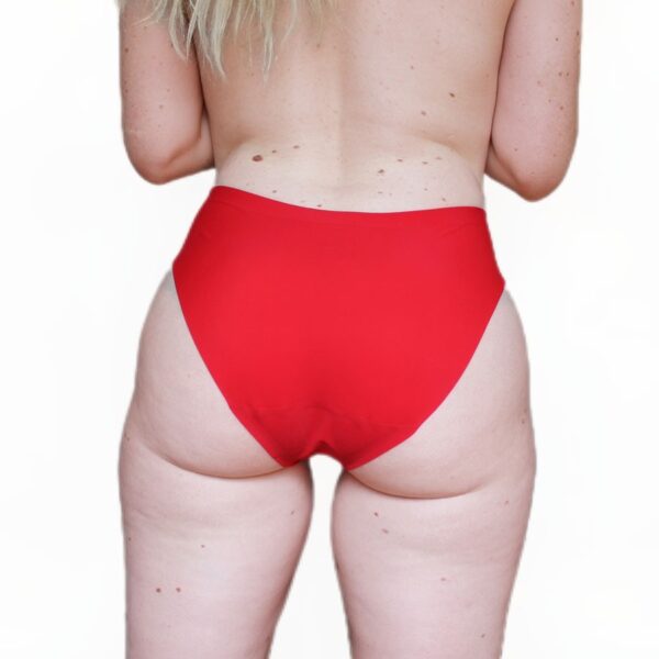 Sissy Classic Nylon Panty - Image 5