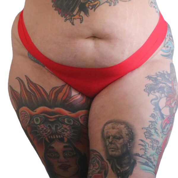 Sissy Classic Nylon Panty - Image 6