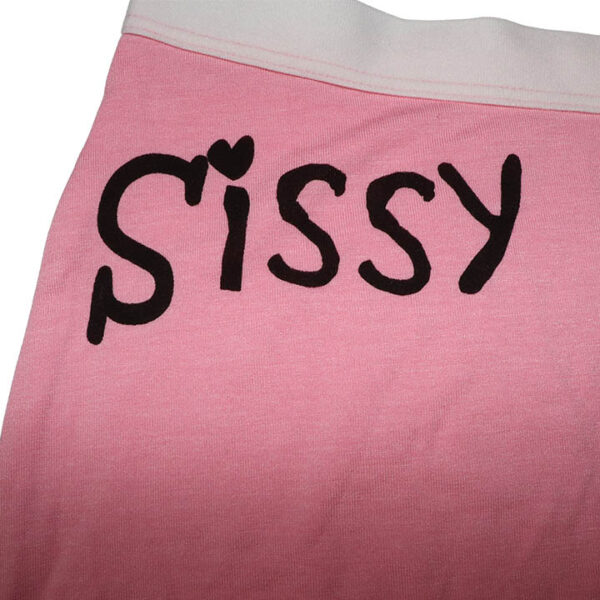 Sissy High-Waisted Boyshorts with Genital Pouch - Image 3